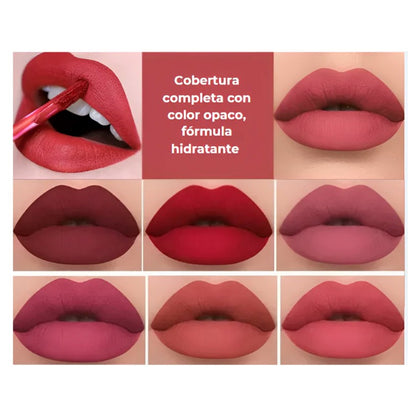 SET DE LABIALES MATE (6 UN)